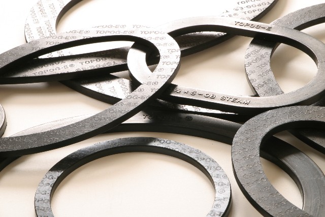 Topog-E Headhole Series 180 Gaskets Elliptical